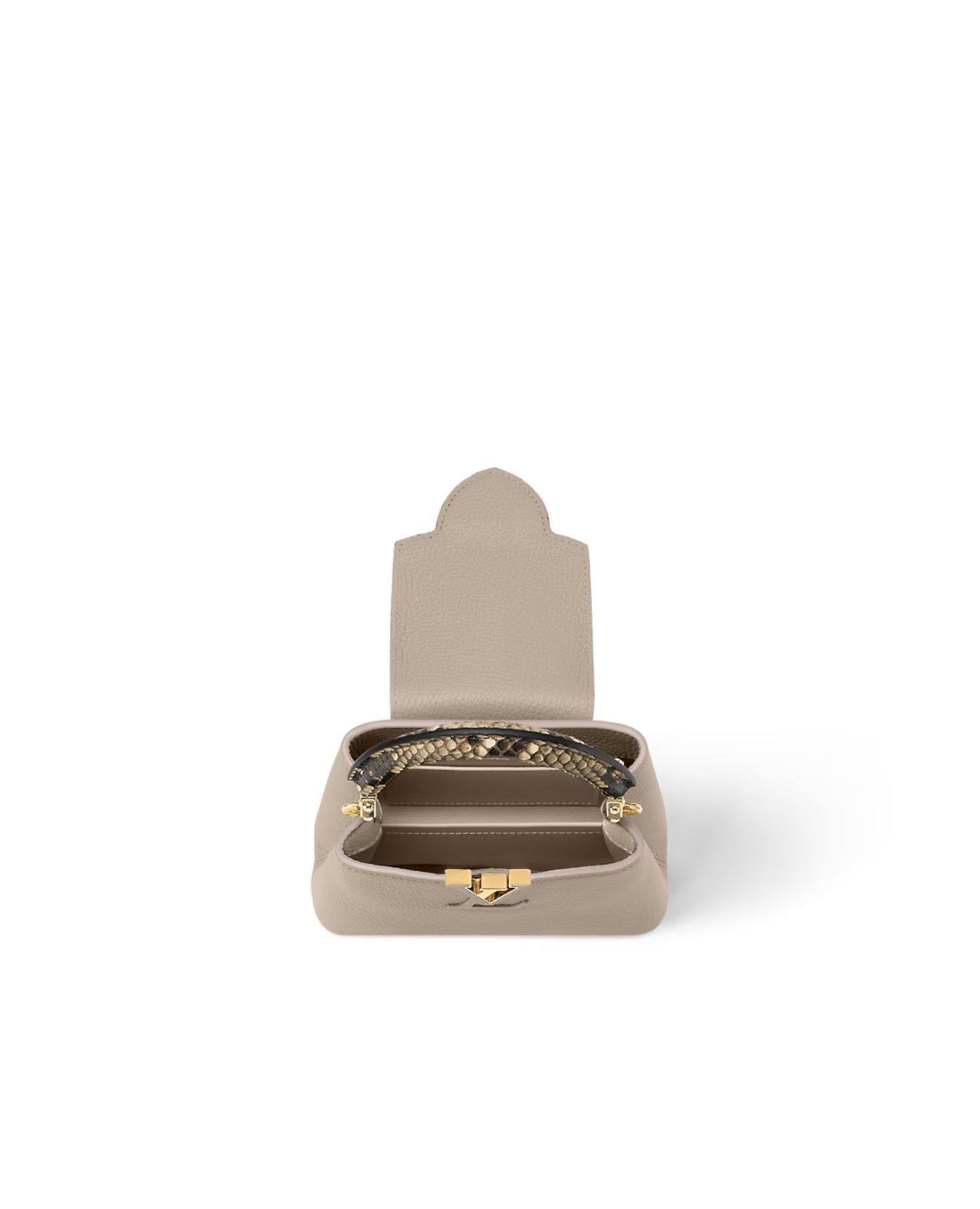 لويس فيتون كابوسين ميني