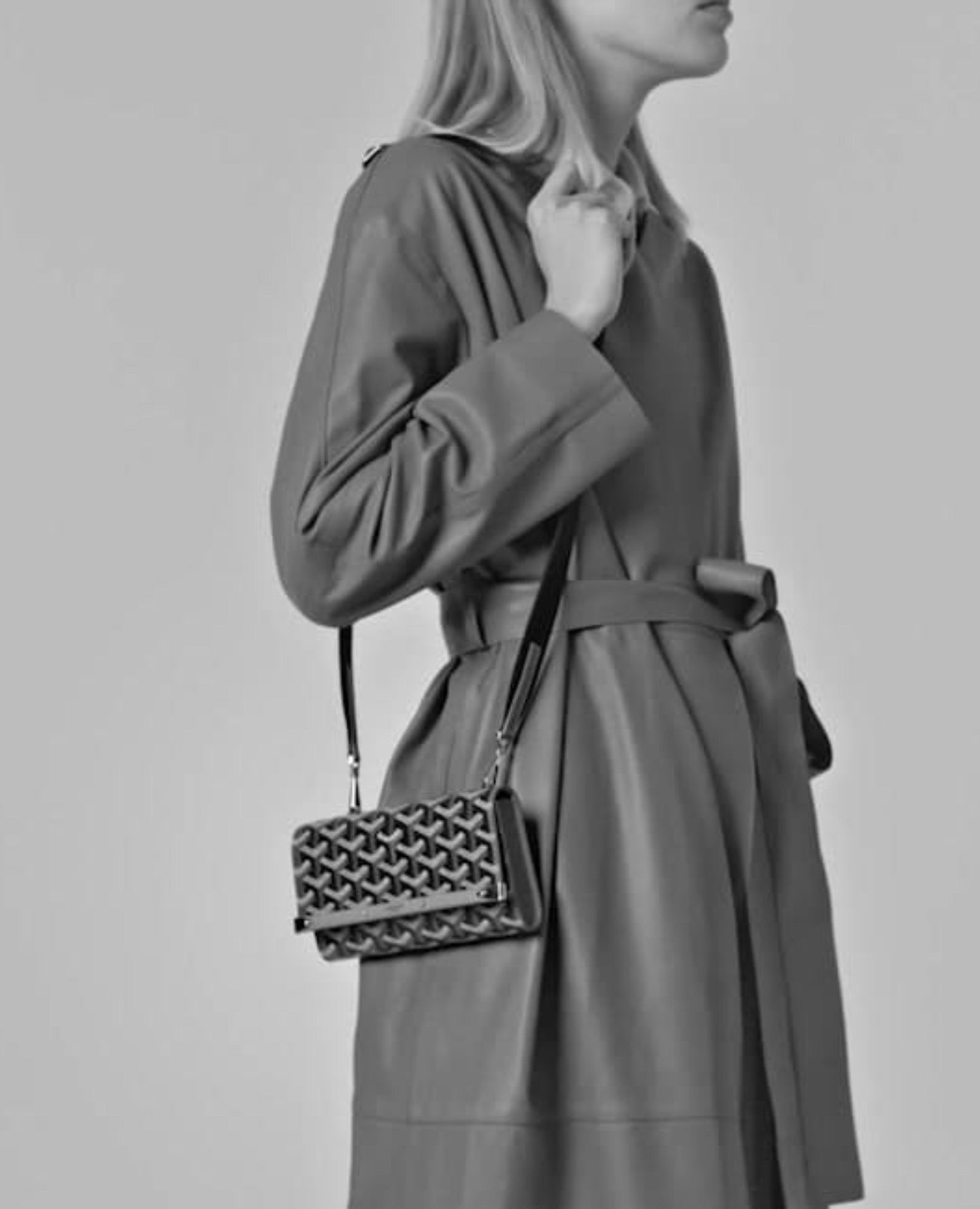 حقيبة جويارد مونتي كارلو الصغيرة باللون البني