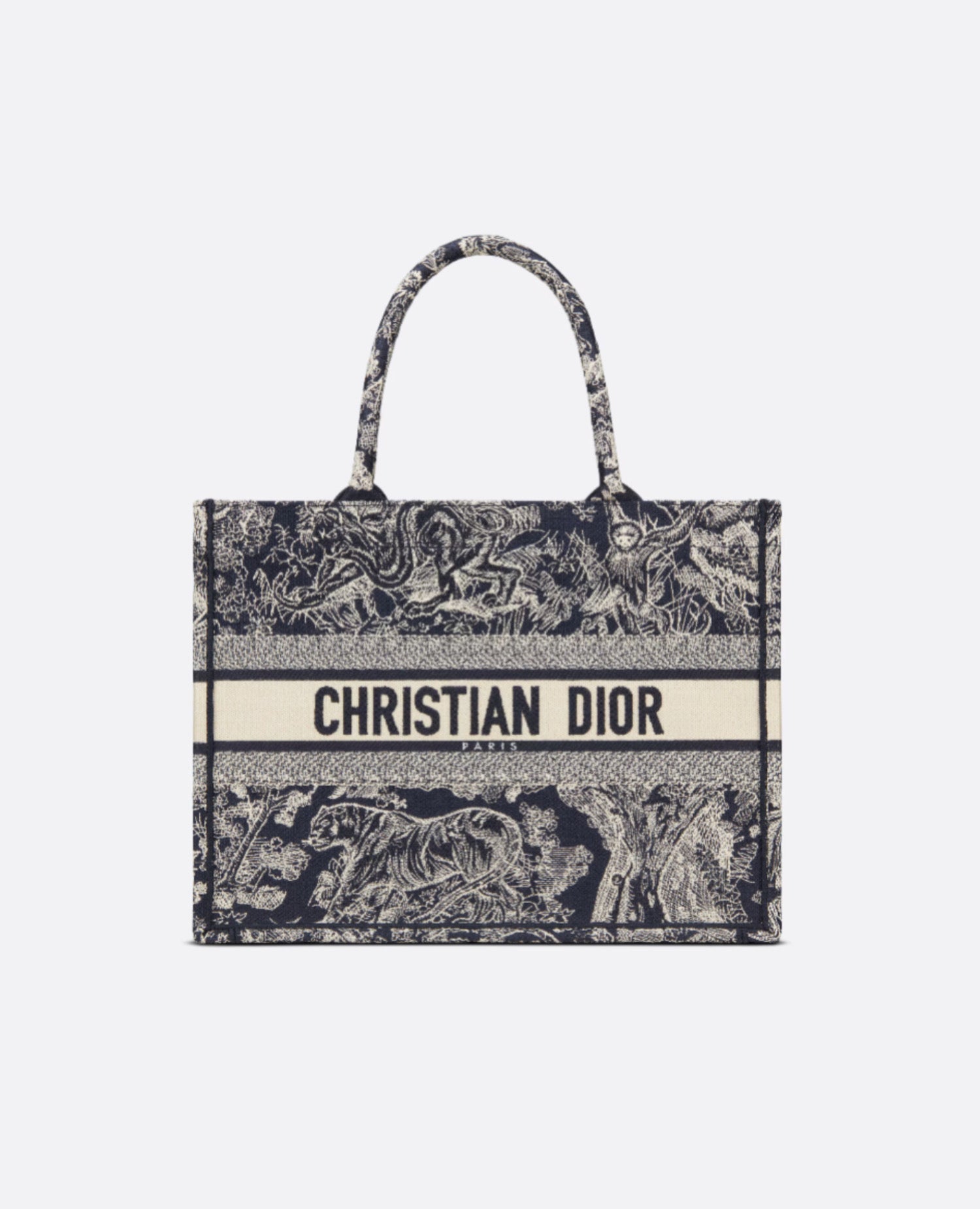 Christian Dior Medium Dior Book Tote
