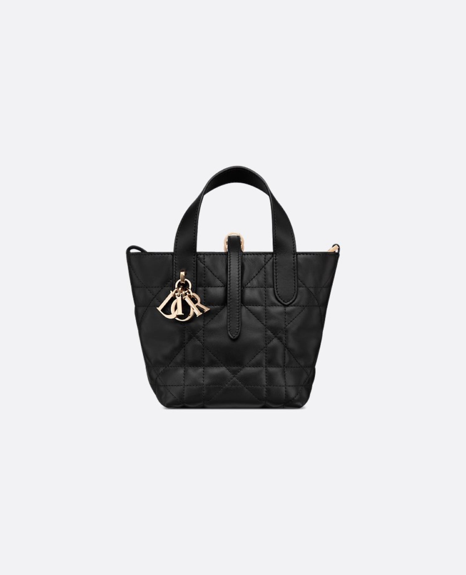 Christian Dior Toujours Vertical Nano Tote Bag