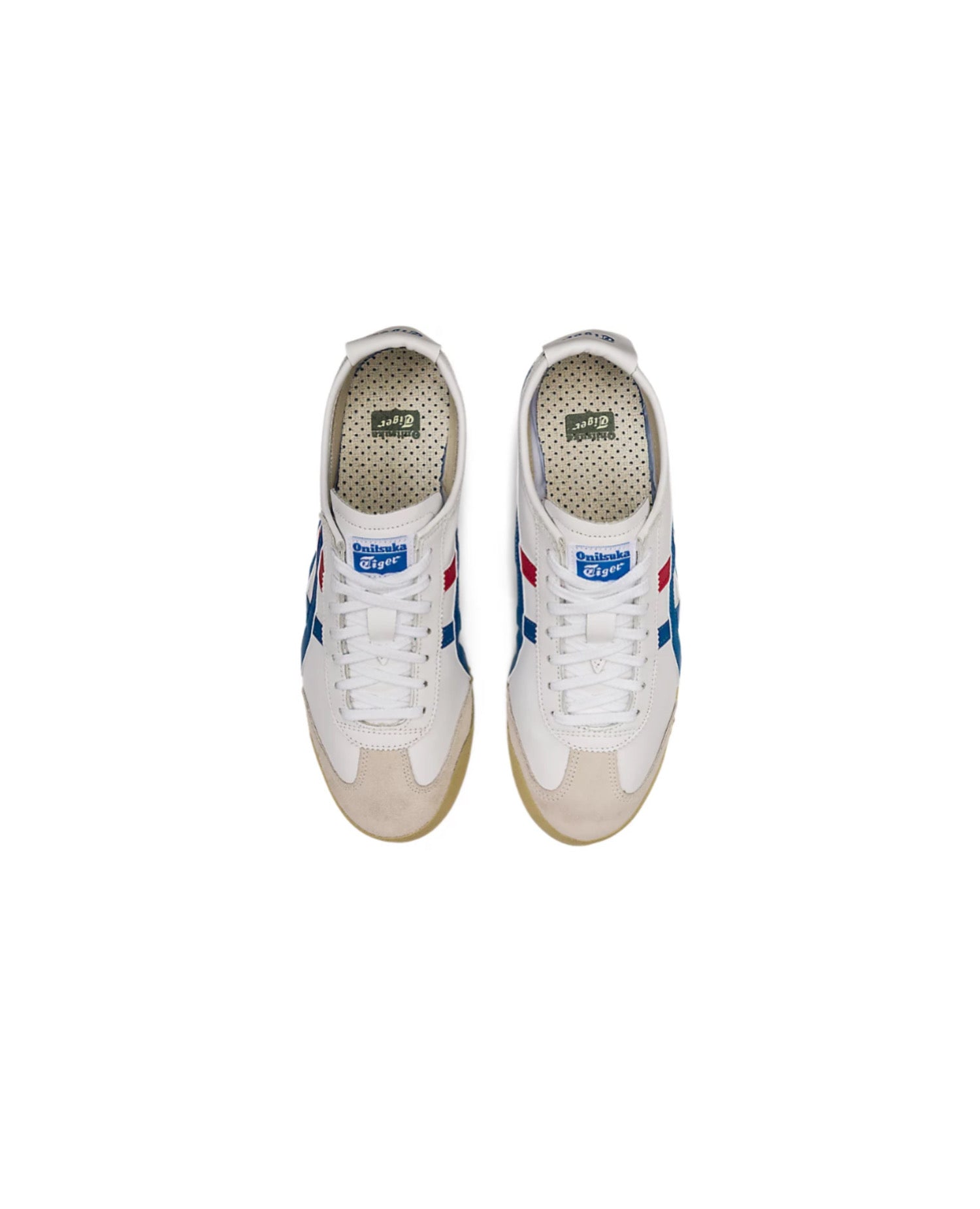 أونتسوكا تايجر المكسيك 66