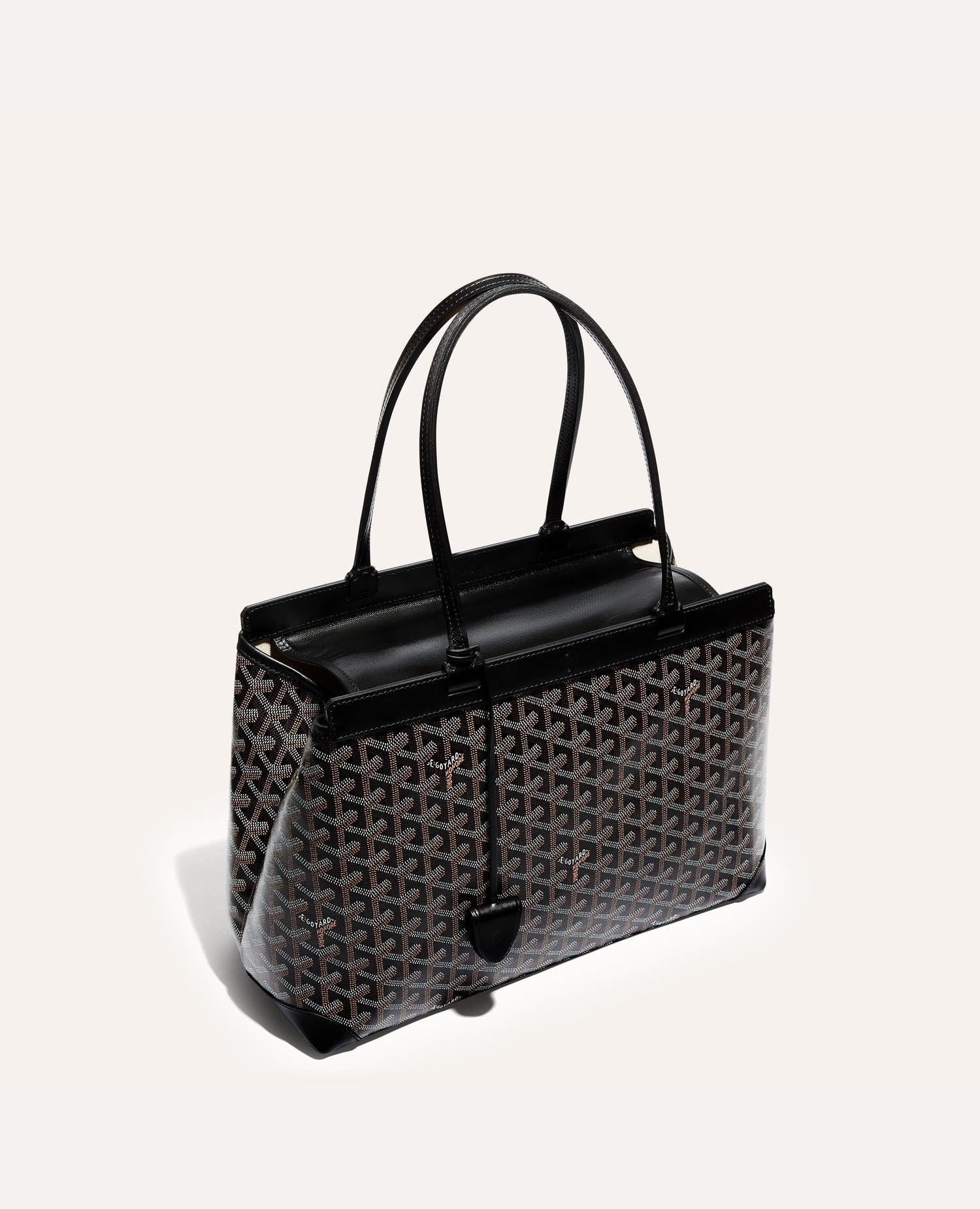 Goyard Bellechasse Biaude PM Bag Black