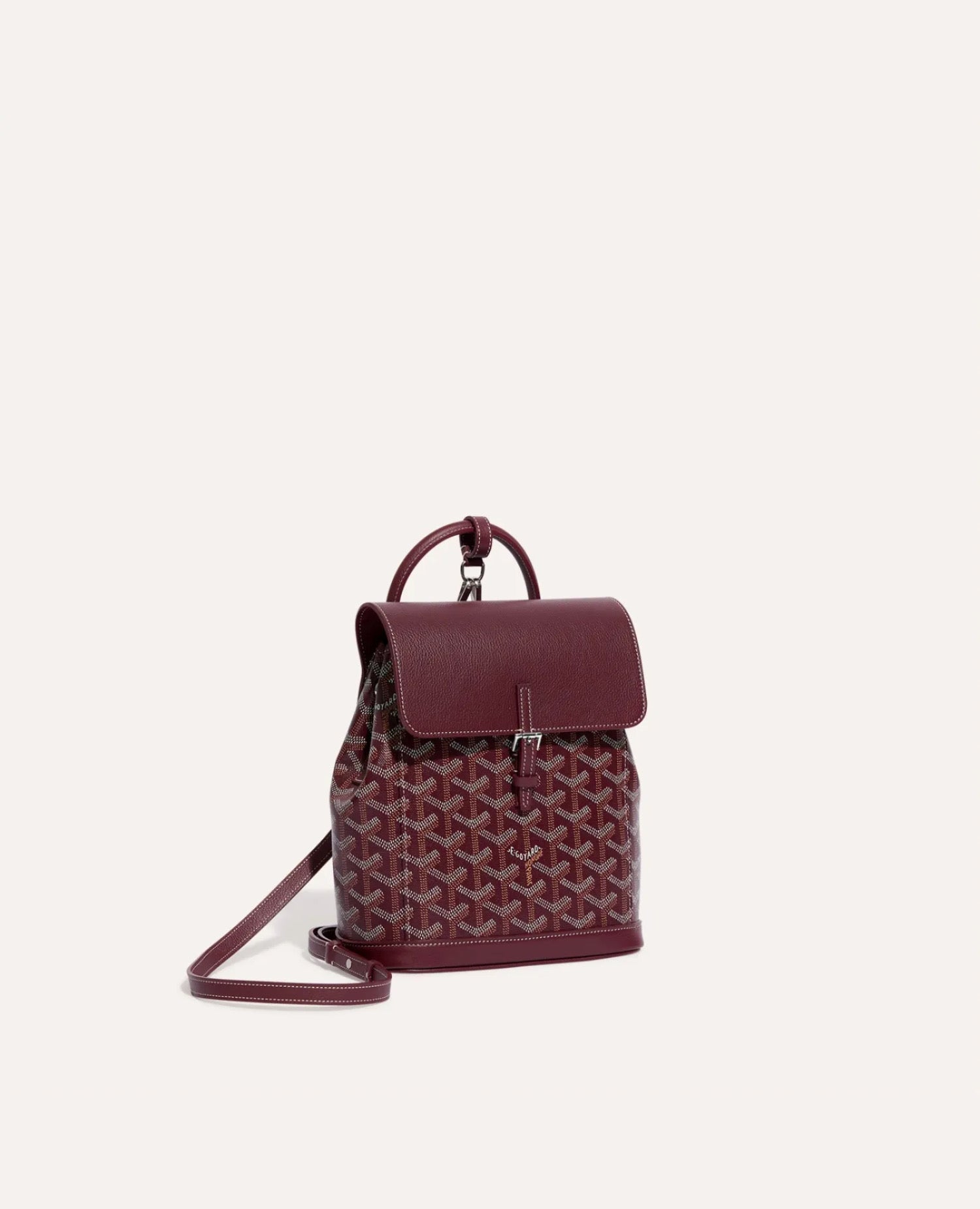 حقيبة ظهر جويارد ألبين ميني