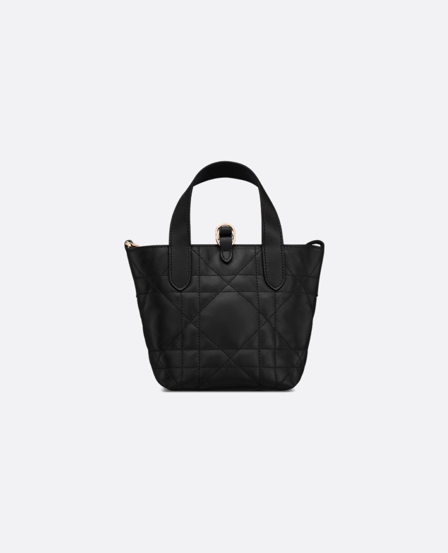 Christian Dior Toujours Vertical Nano Tote Bag