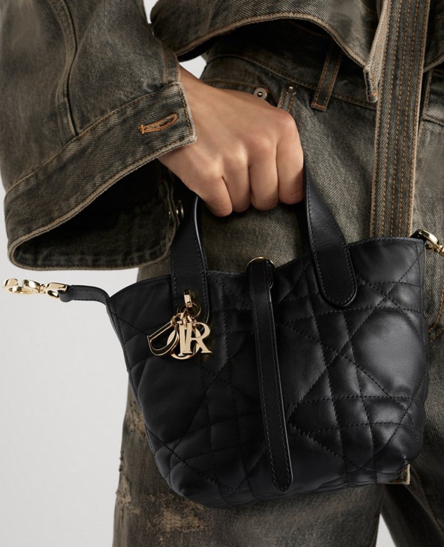 Christian Dior Toujours Vertical Nano Tote Bag