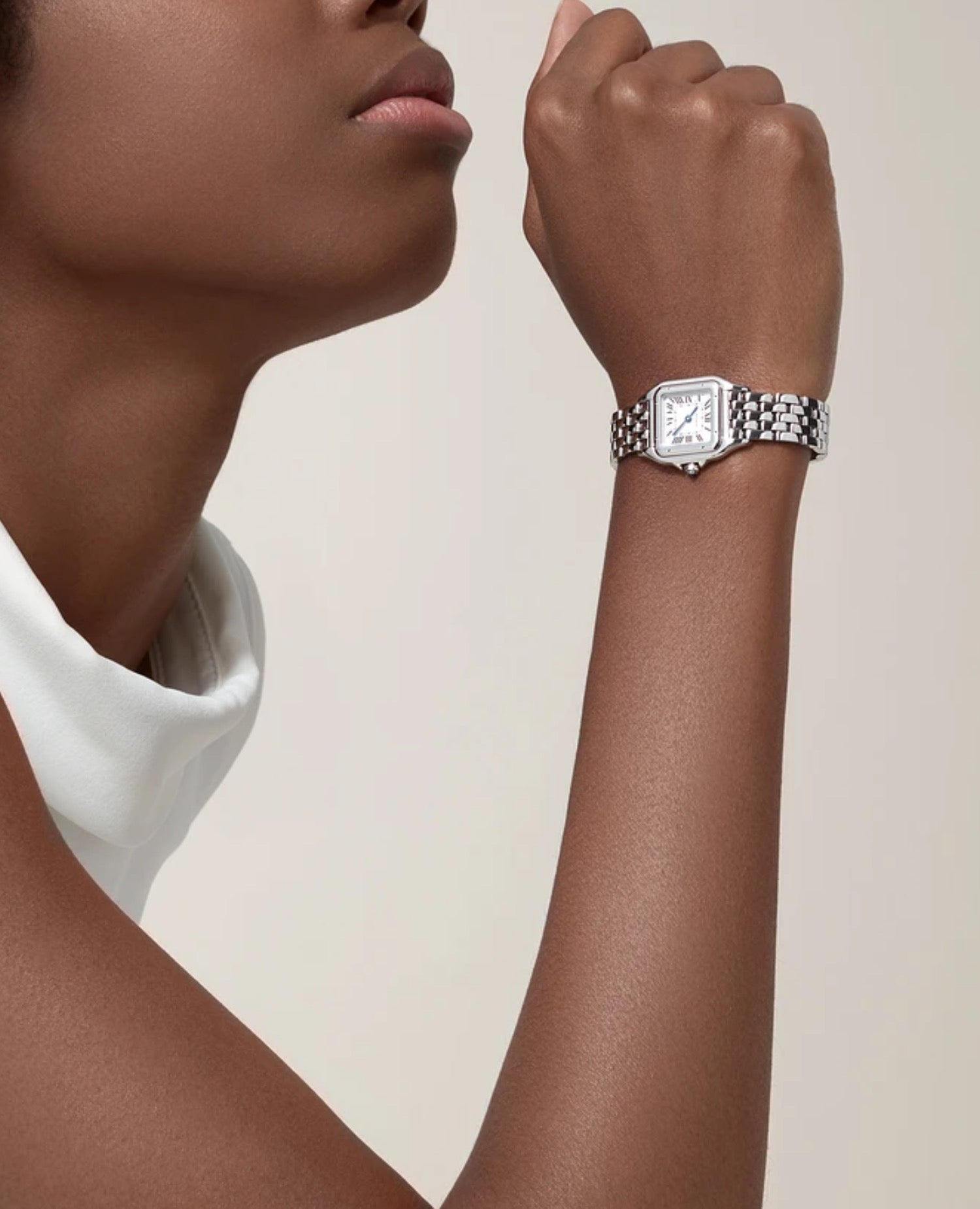 Panthèrs DE Cartier Watch, Small Model, Silver