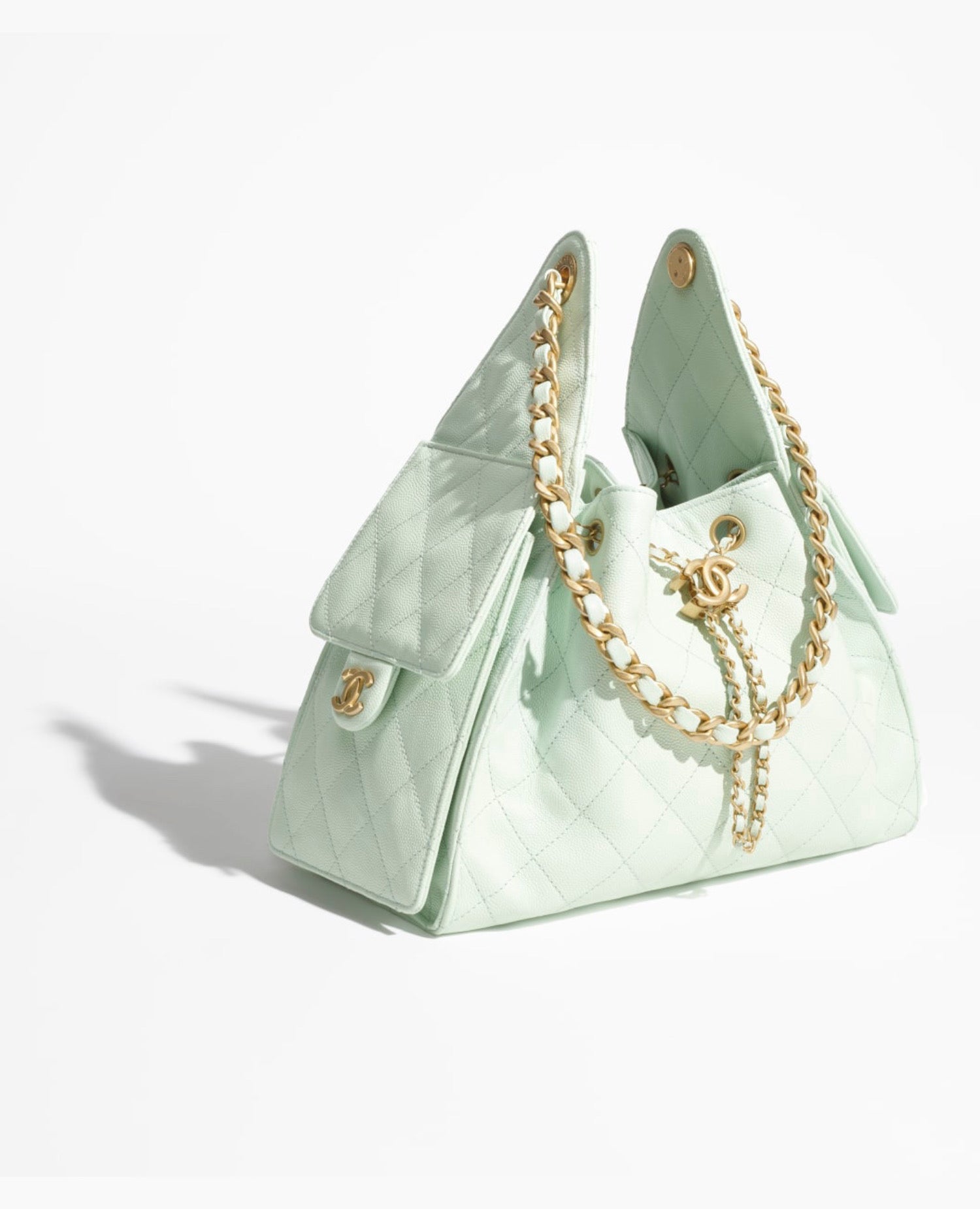 Coco 25 Small Handbag Light Green