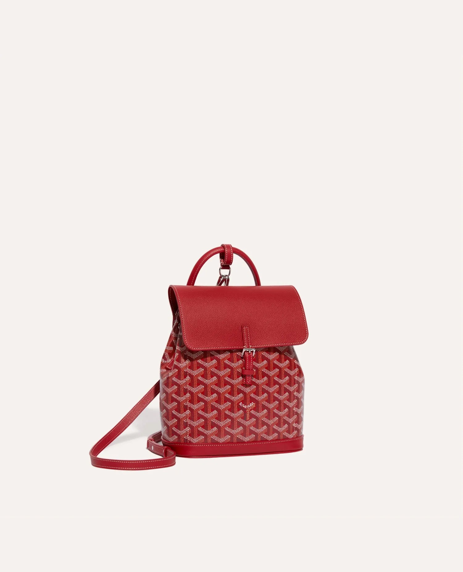 حقيبة ظهر جويارد ألبين ميني