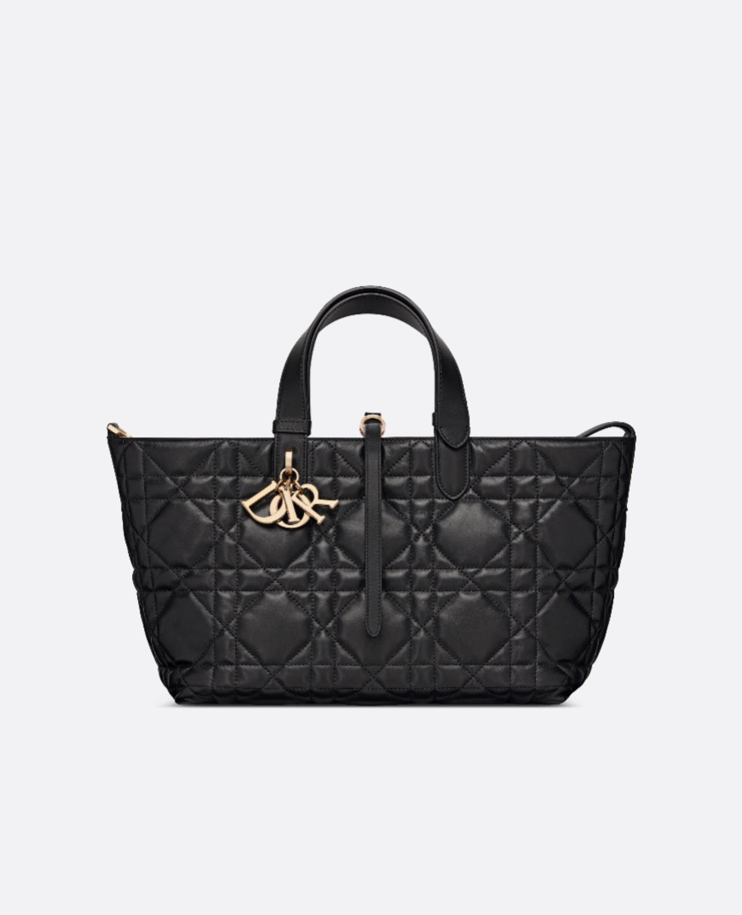 Christian Dior Toujours Medium Bag