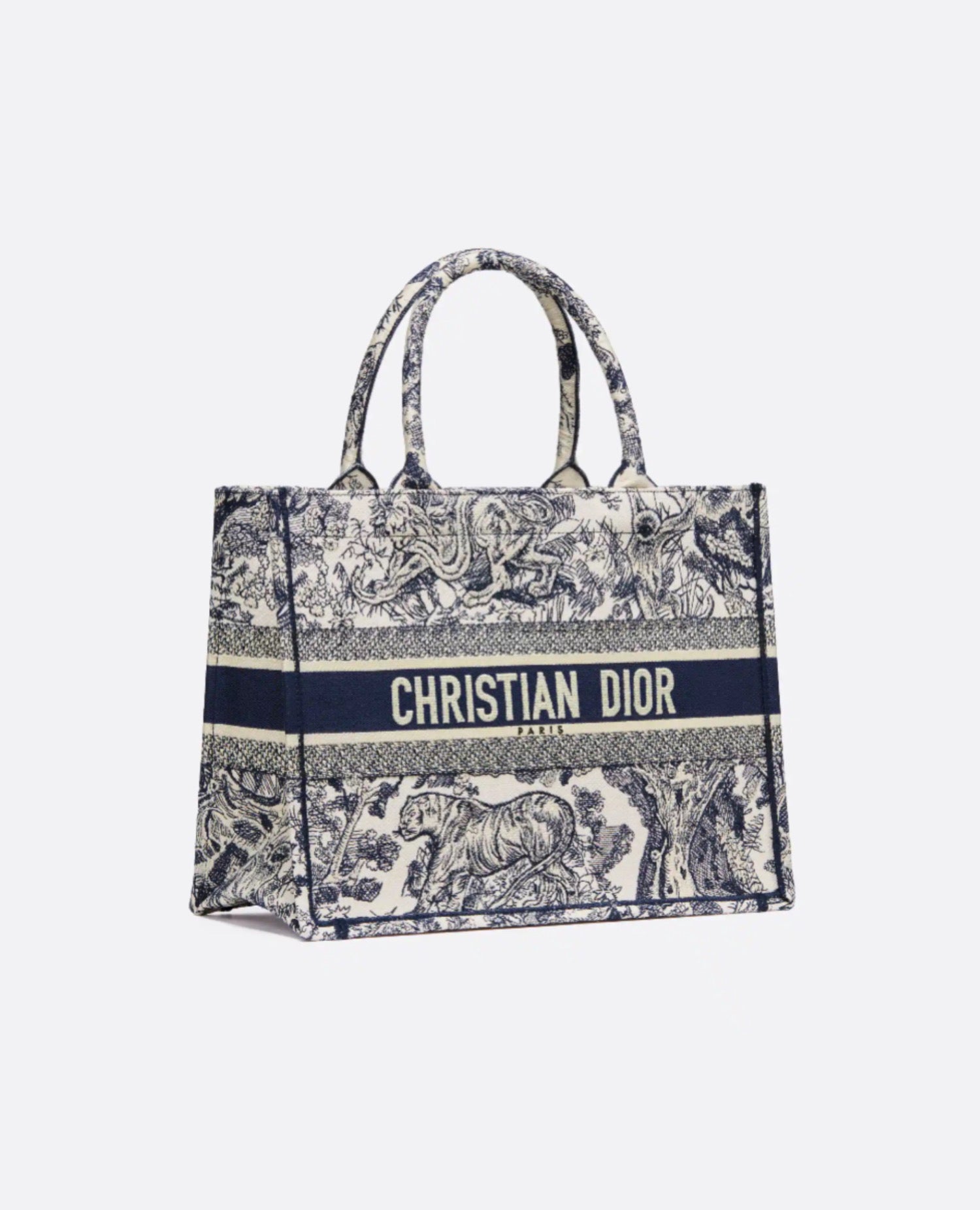 Christian Dior Medium Dior Book Tote
