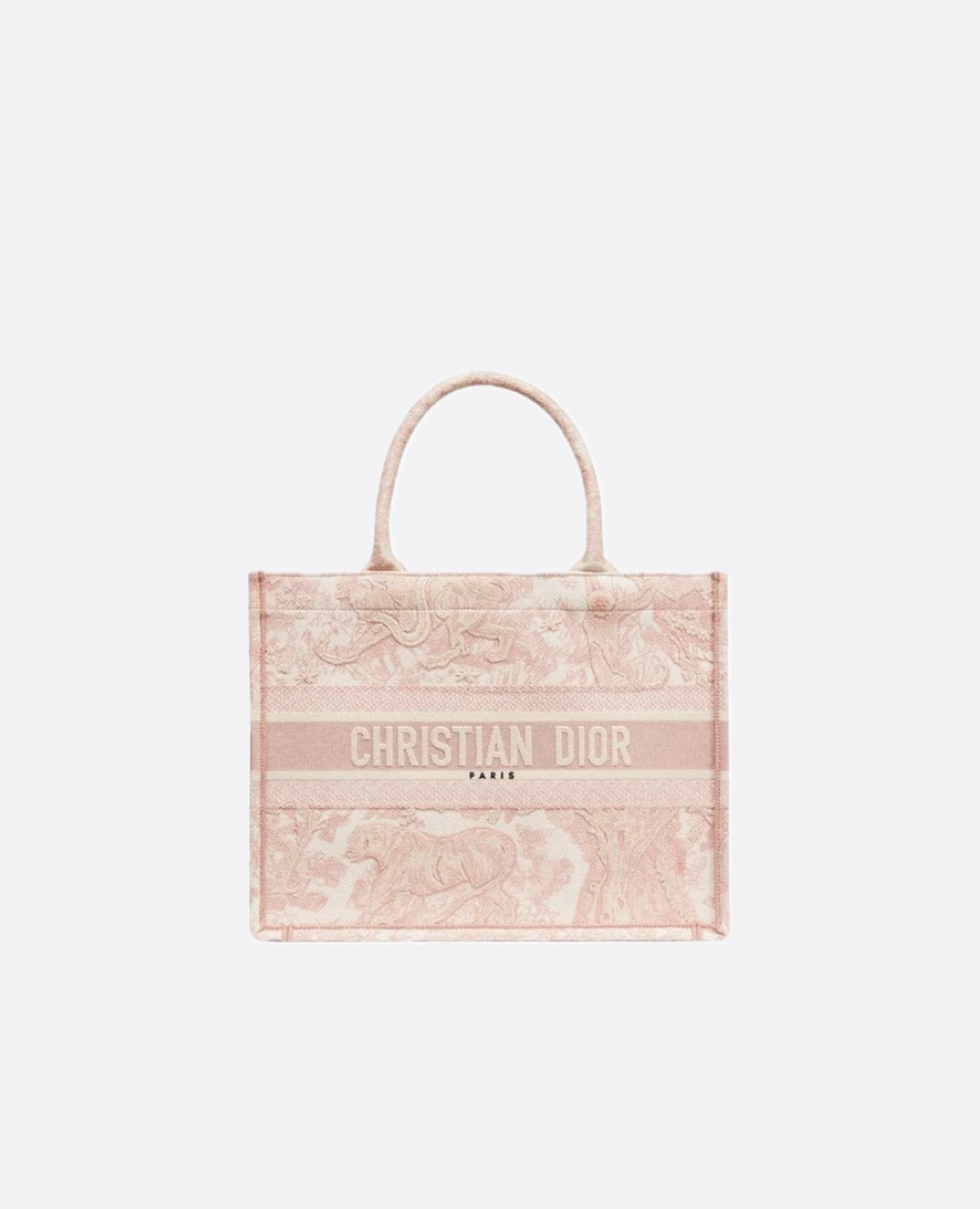 Christian Dior Small Dior Book Tote