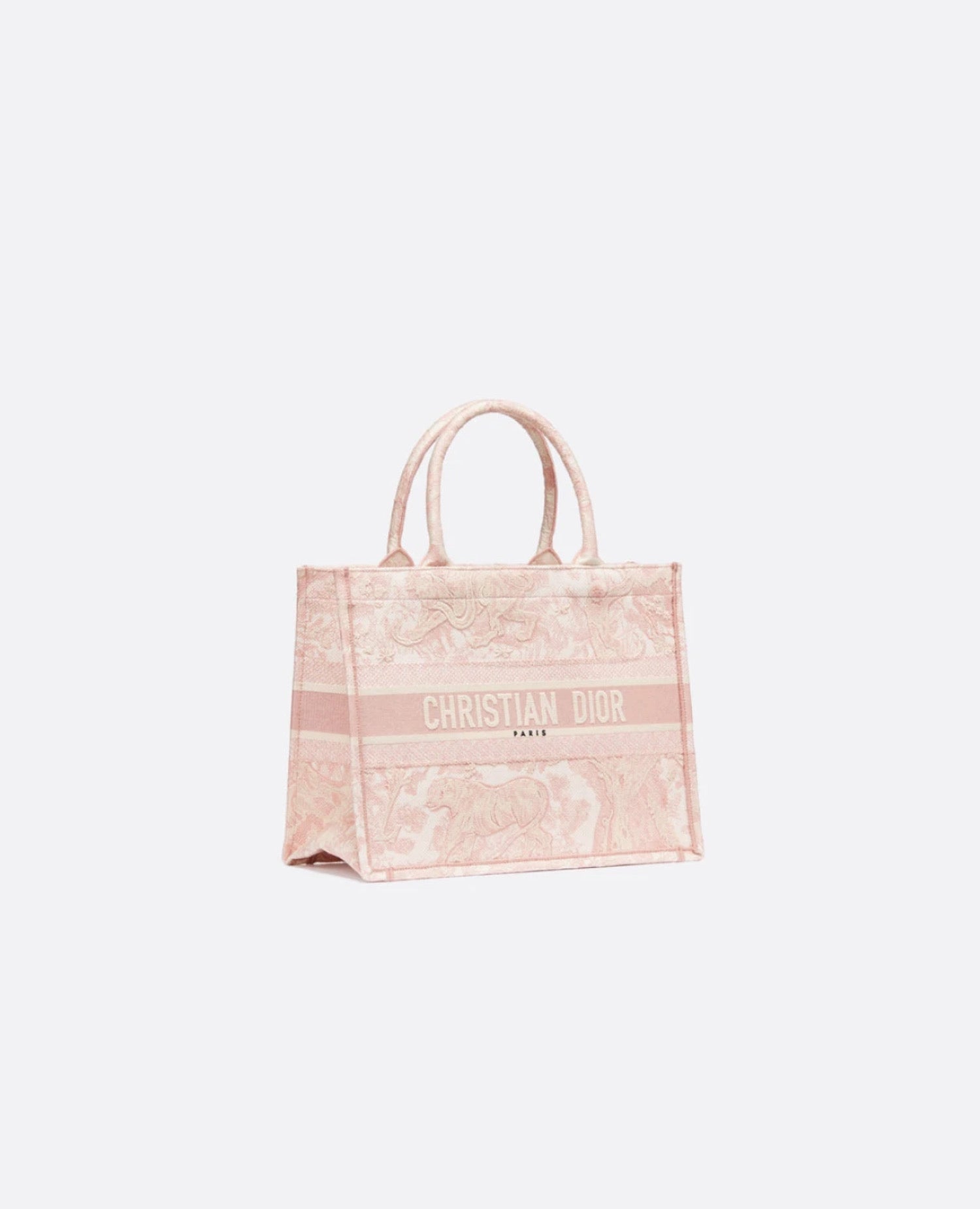 Christian Dior Small Dior Book Tote