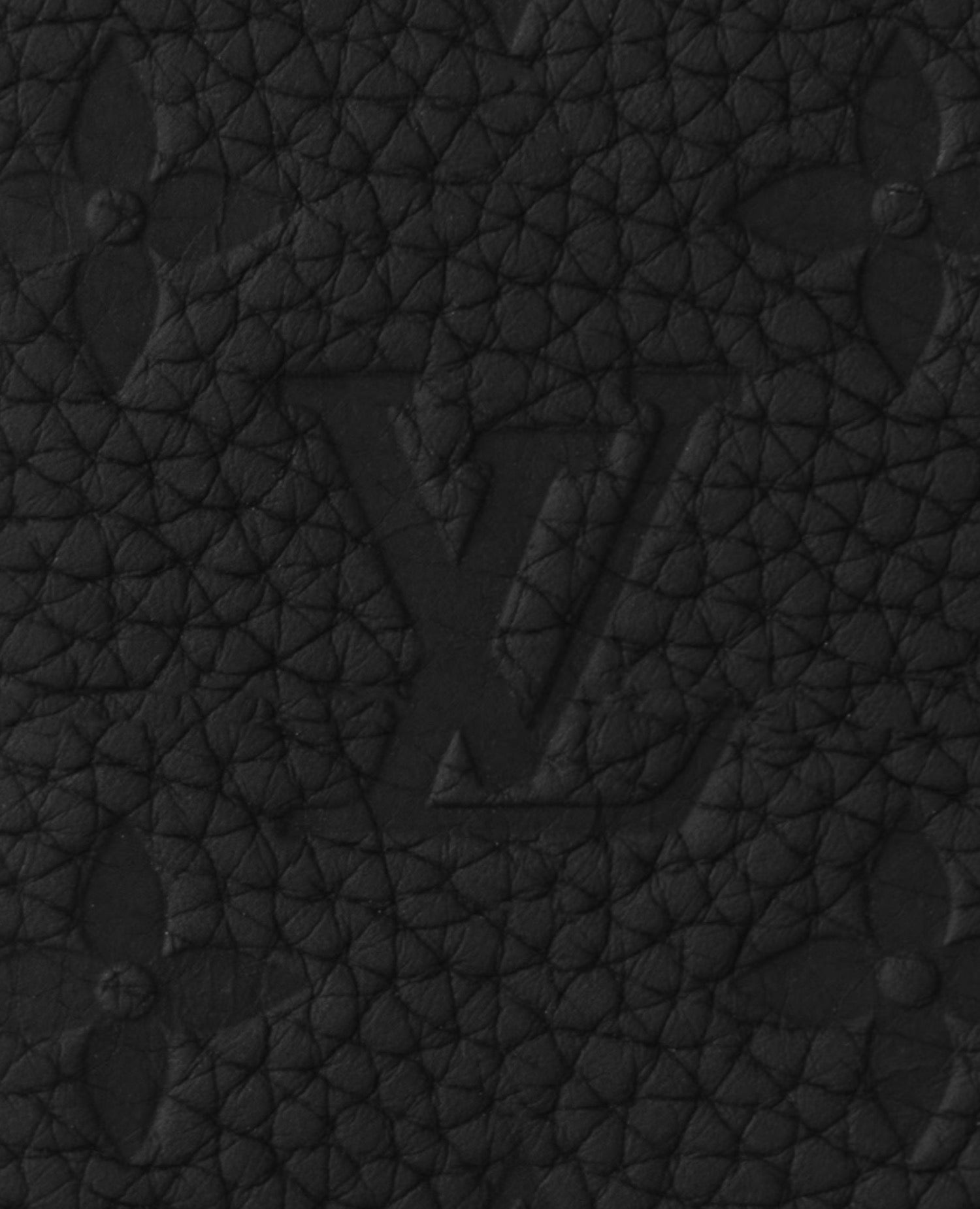 Louis Vuitton Pocket Organizer