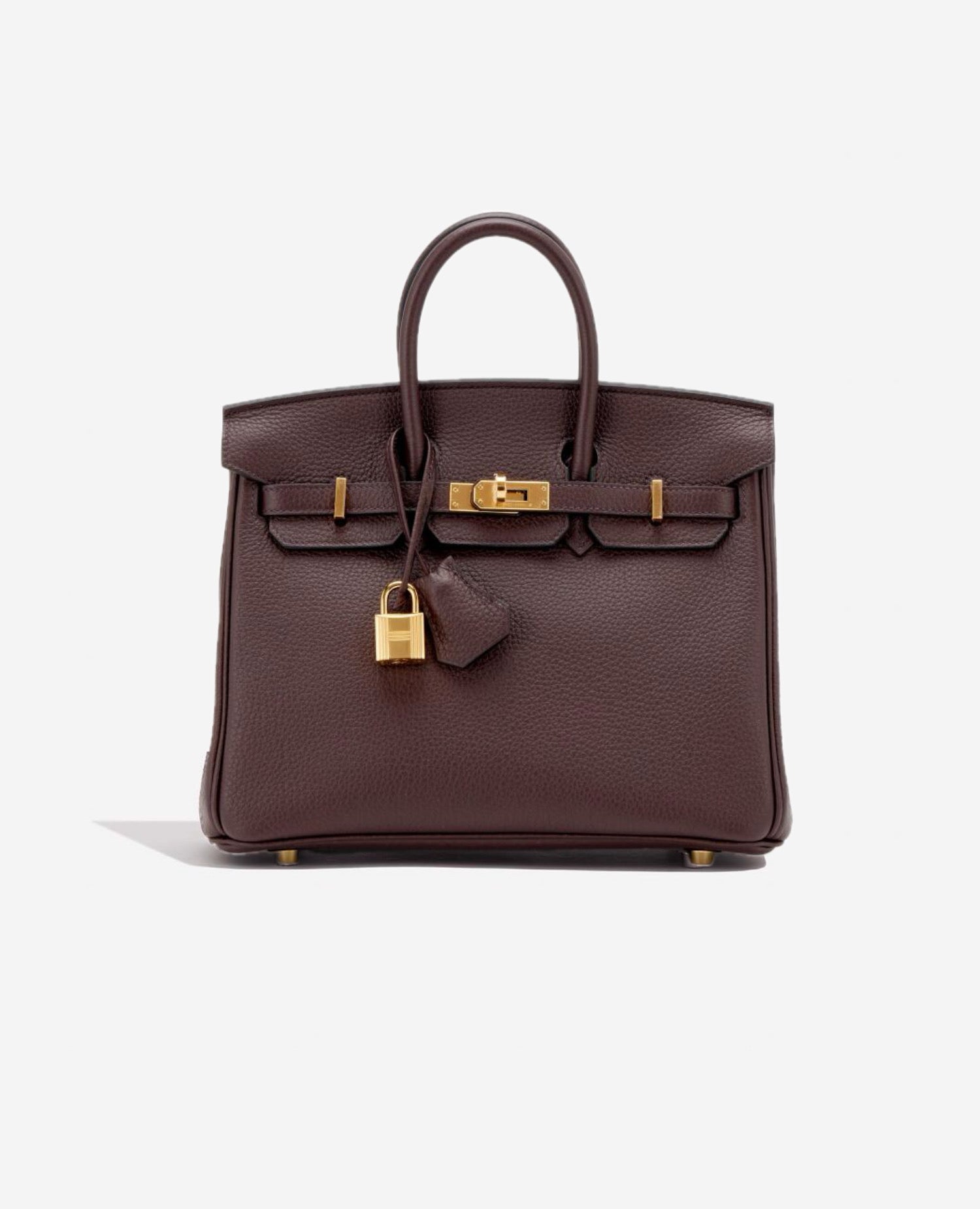 Hermès Birkin 25 Togo Bordeaux