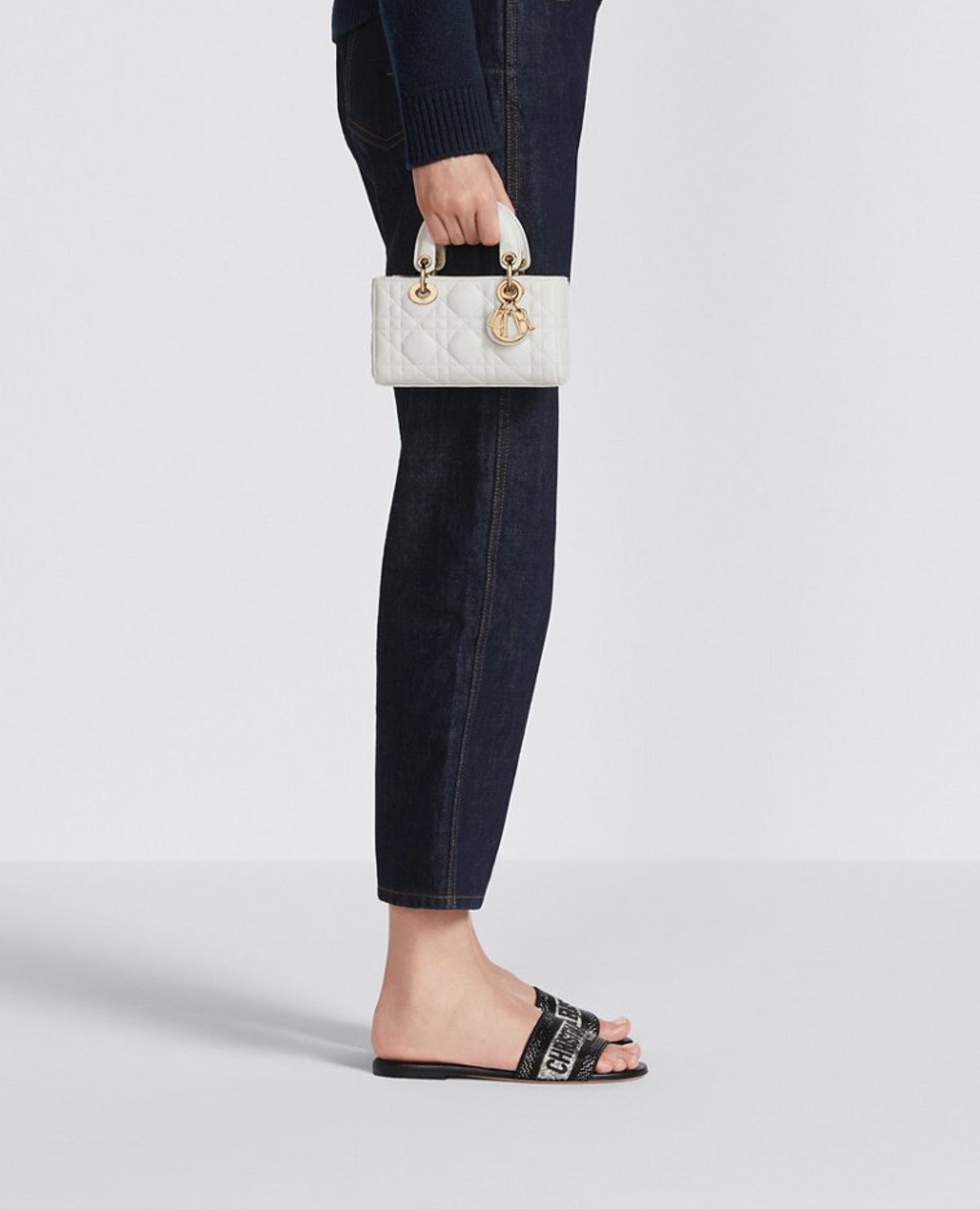 Christian Dior Lady D-Joy Micro Bag