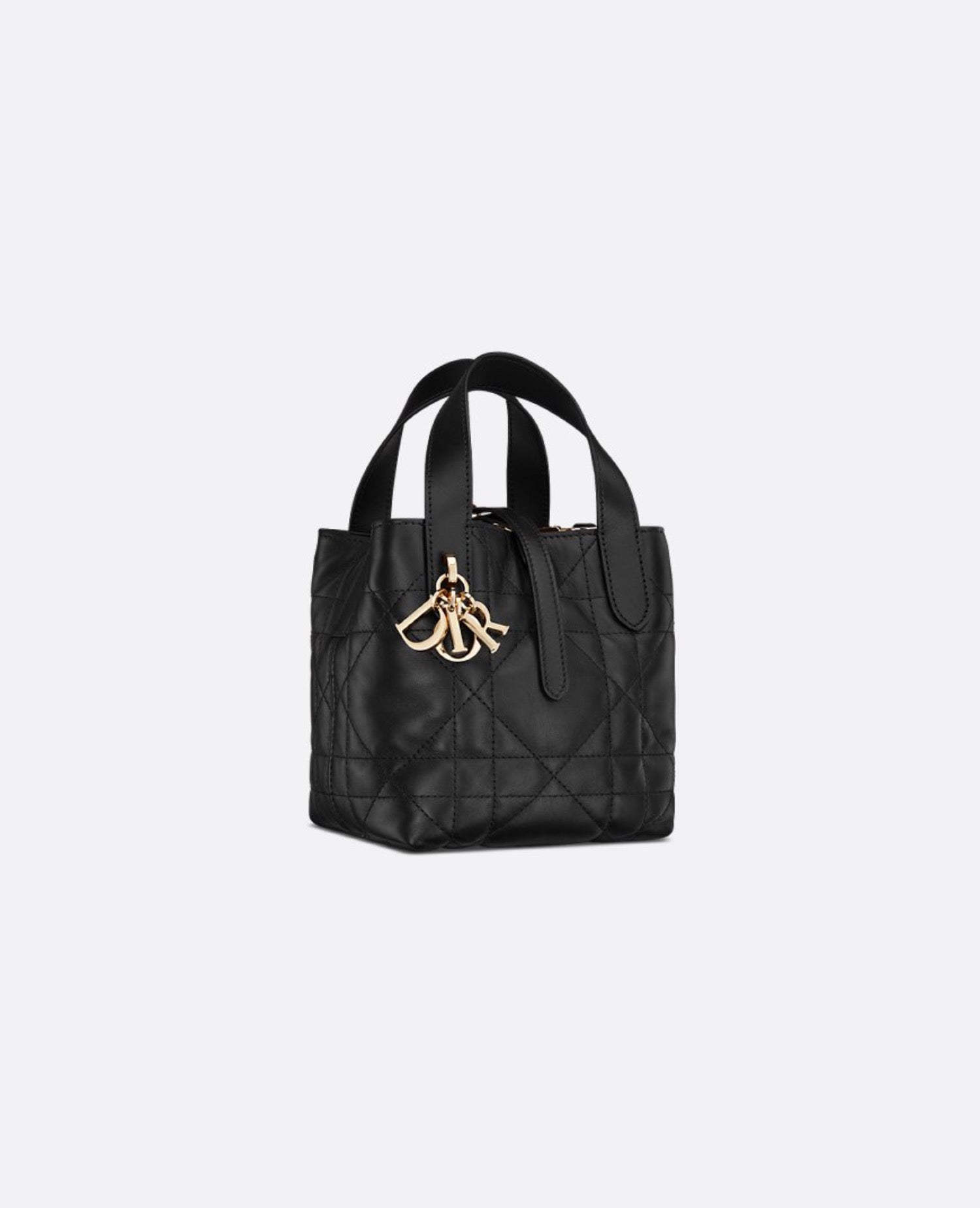 Christian Dior Toujours Vertical Nano Tote Bag