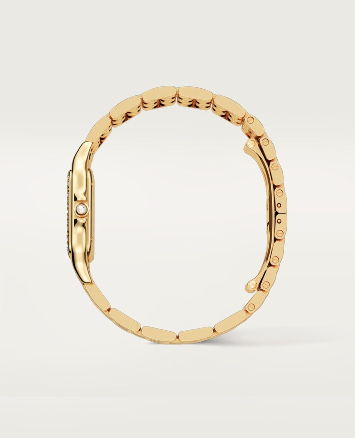 Panthèrs DE Cartier watch