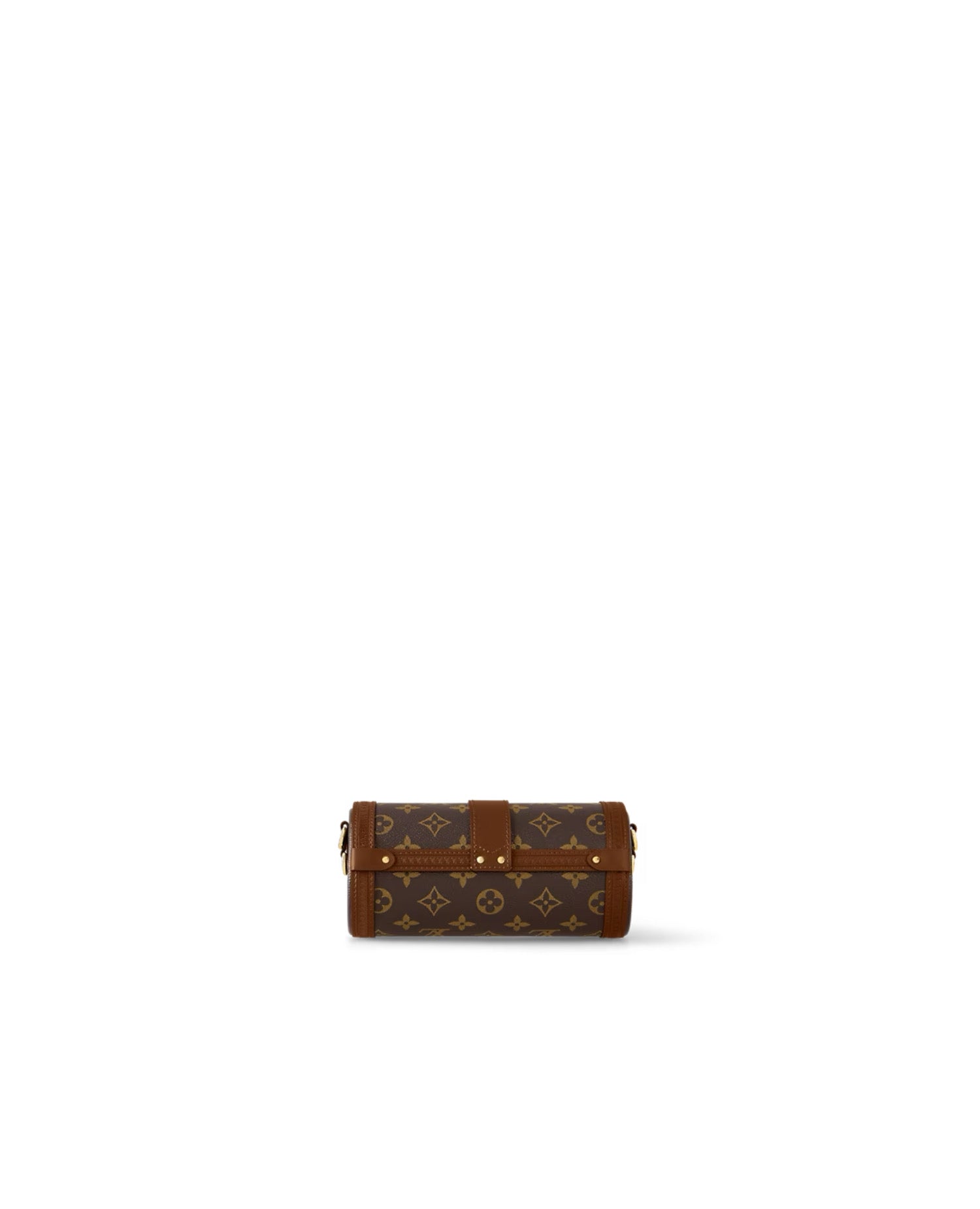 Louis Vuitton Papillon Trunk