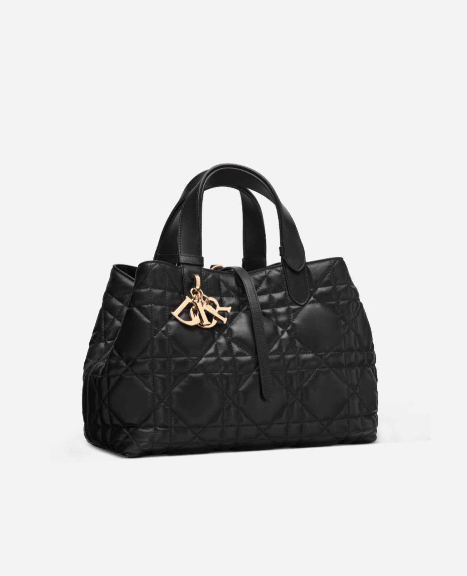 Christian Dior Toujours Medium Bag