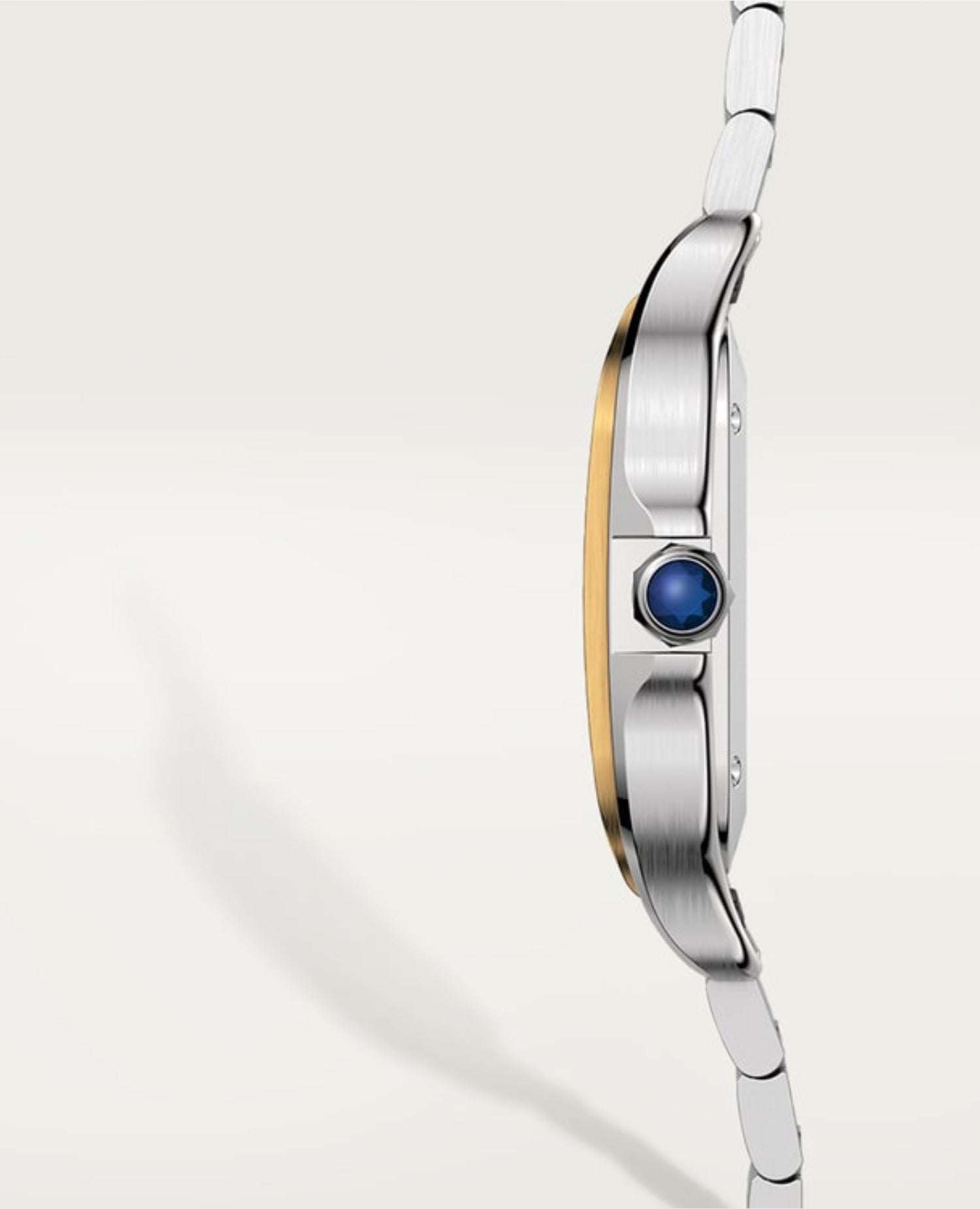 Montre Santos DE Cartier Watch