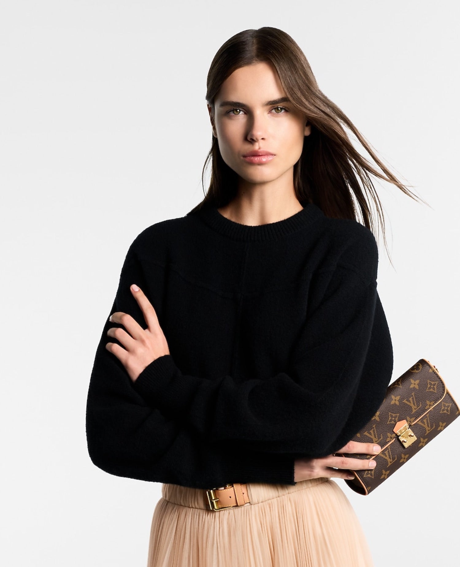 Louis Vuitton Pochette Camille