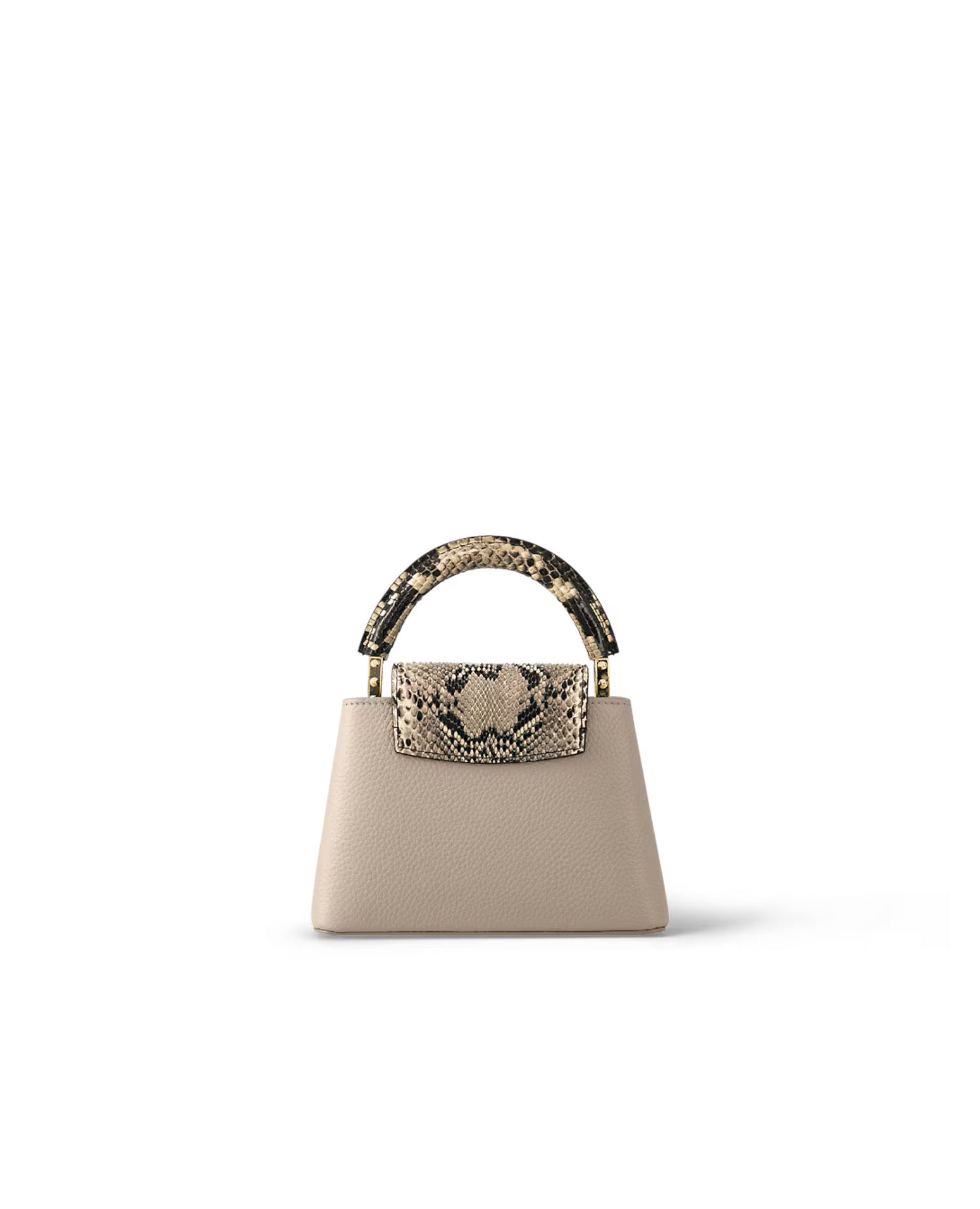 Louis Vuitton Capucines Mini