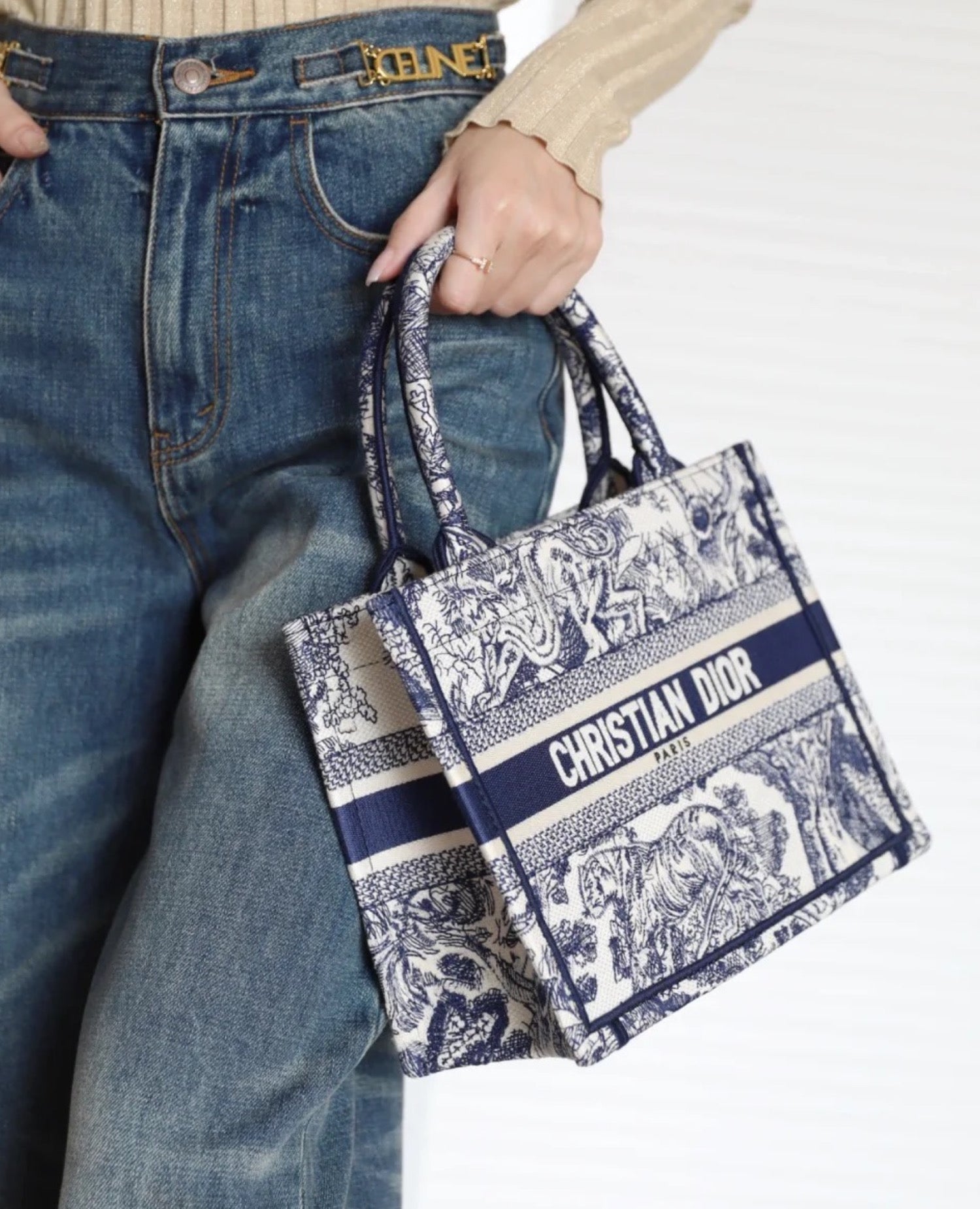 Christian Dior Small Dior Book Tote