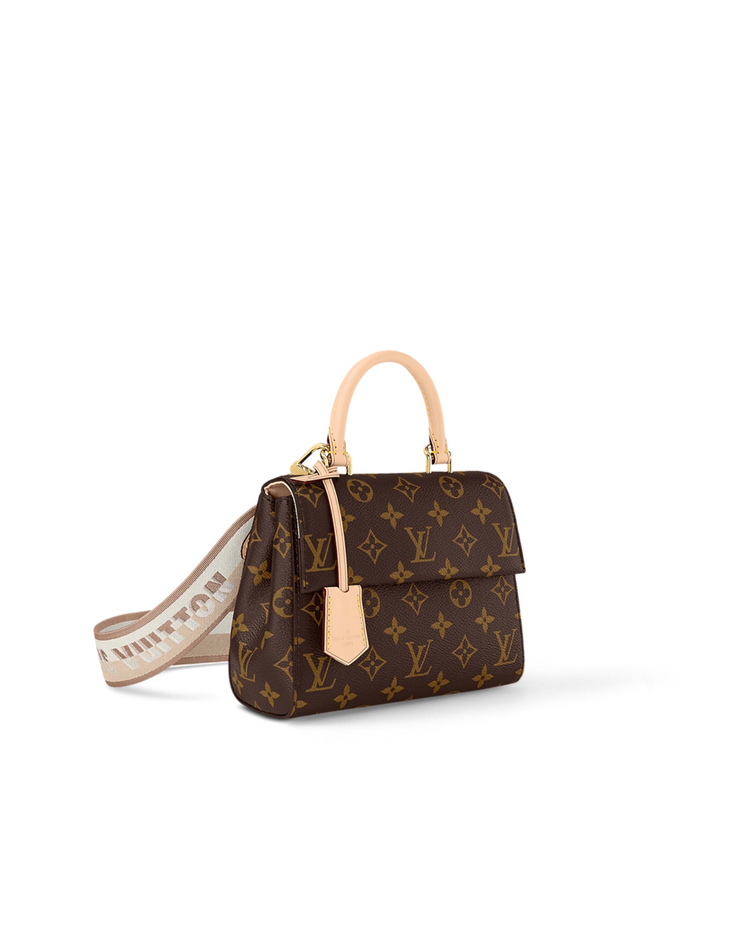 Louis Vuitton Cluny Mini Bag