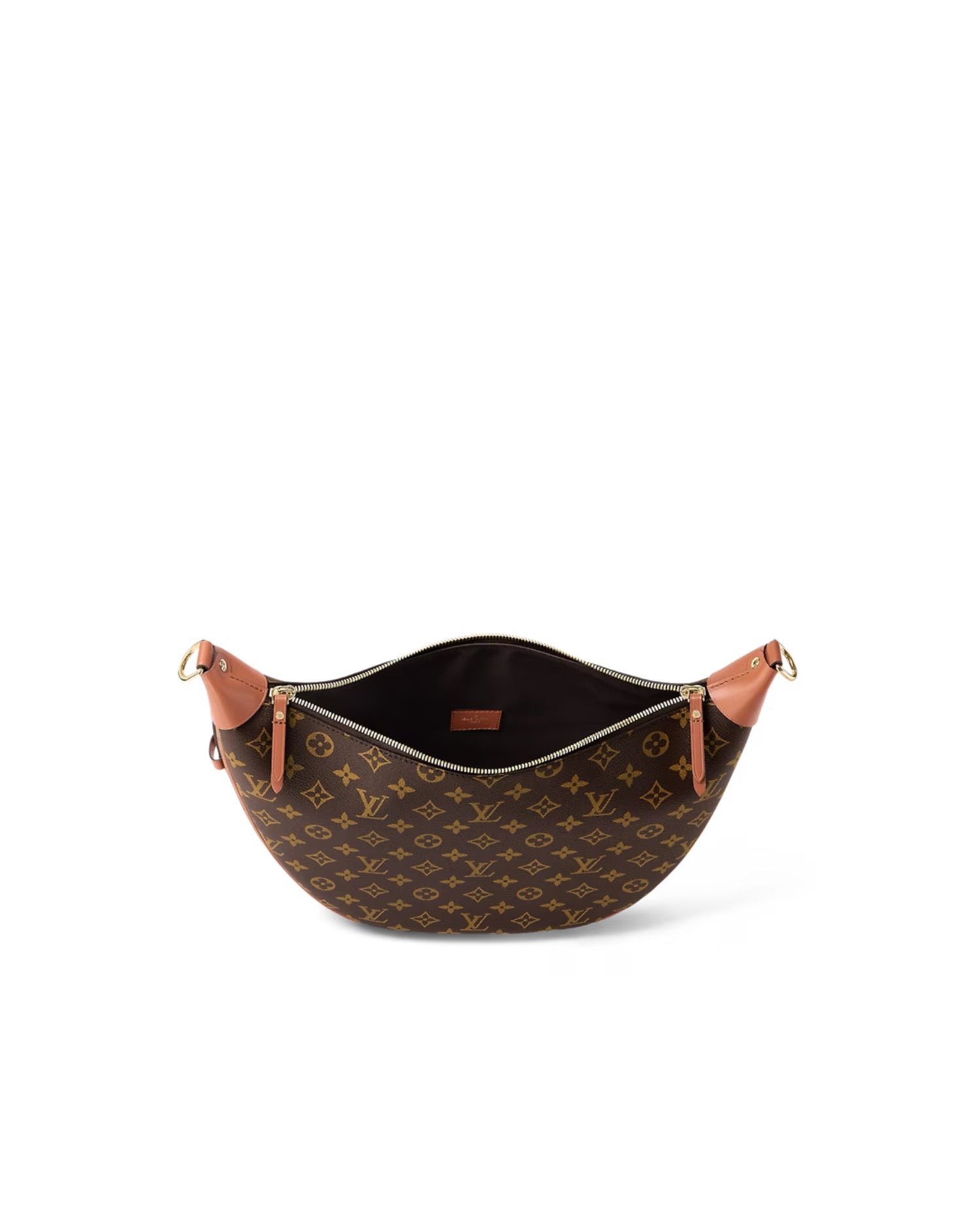 Louis Vuitton Loop Hobo