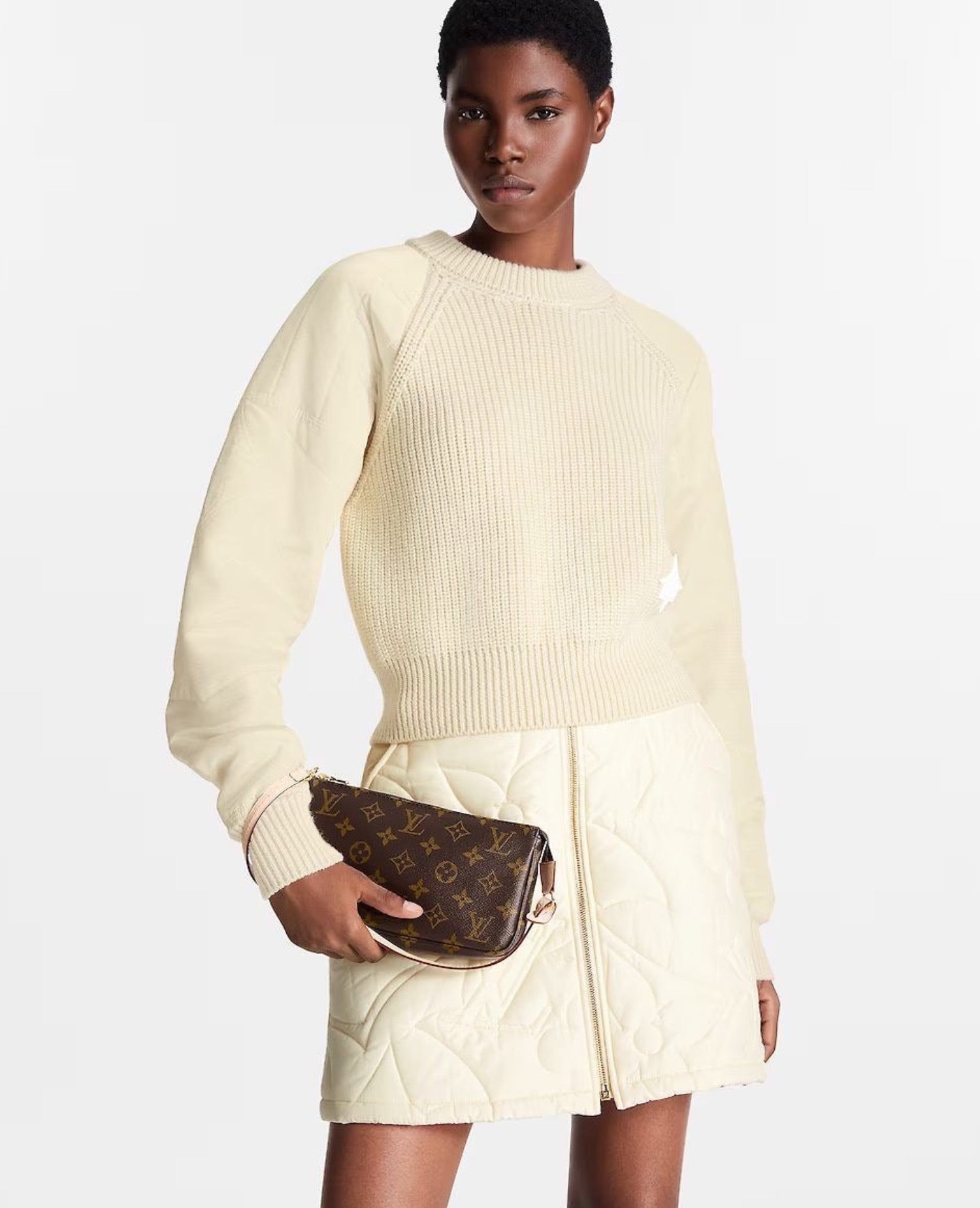 Louis Vuitton Pochette Accessoires